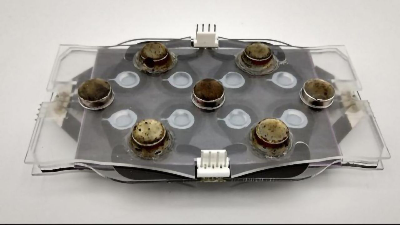 New Device Offers Faster Way To Detect Antibiotic-Resistant Bacteria