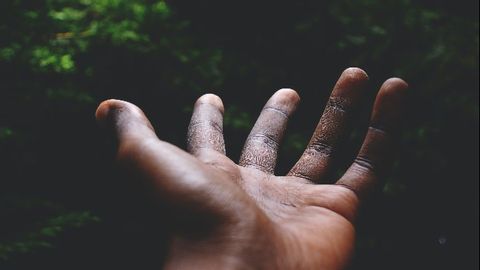 Getting a Grip: Fingerprint Findings Could Boost Prosthetics Research