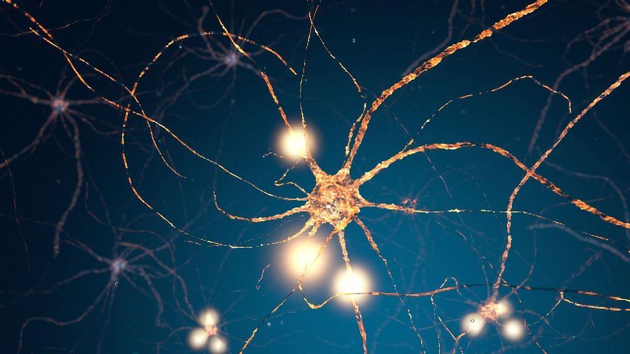 Brain's "Speedometer" Could Solve Part of Dementia Puzzle