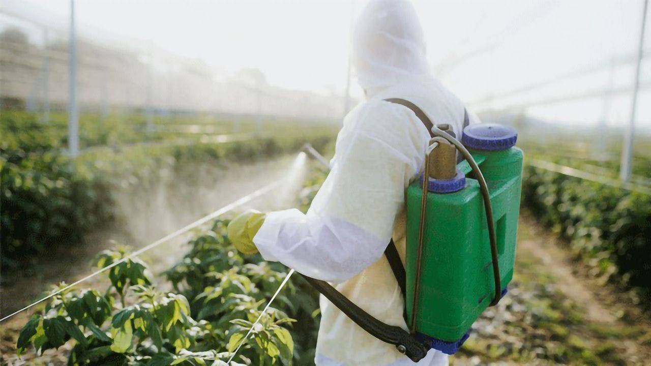 Sniffing Out New Methods for In-Field Pesticide Detection