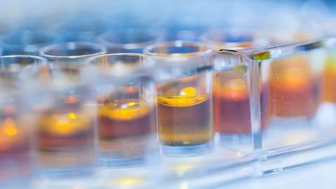 Metabolic State of a Parasite Influences Its Resistance to Drugs