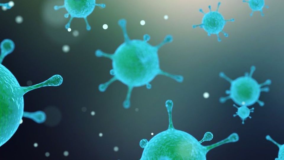 New Lab-on-Chip Infection Test Could Enable Cheaper, Faster Portable ...