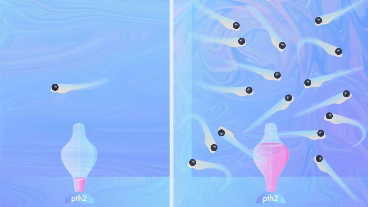 What Effect Does Social Distancing Have on the Brain?