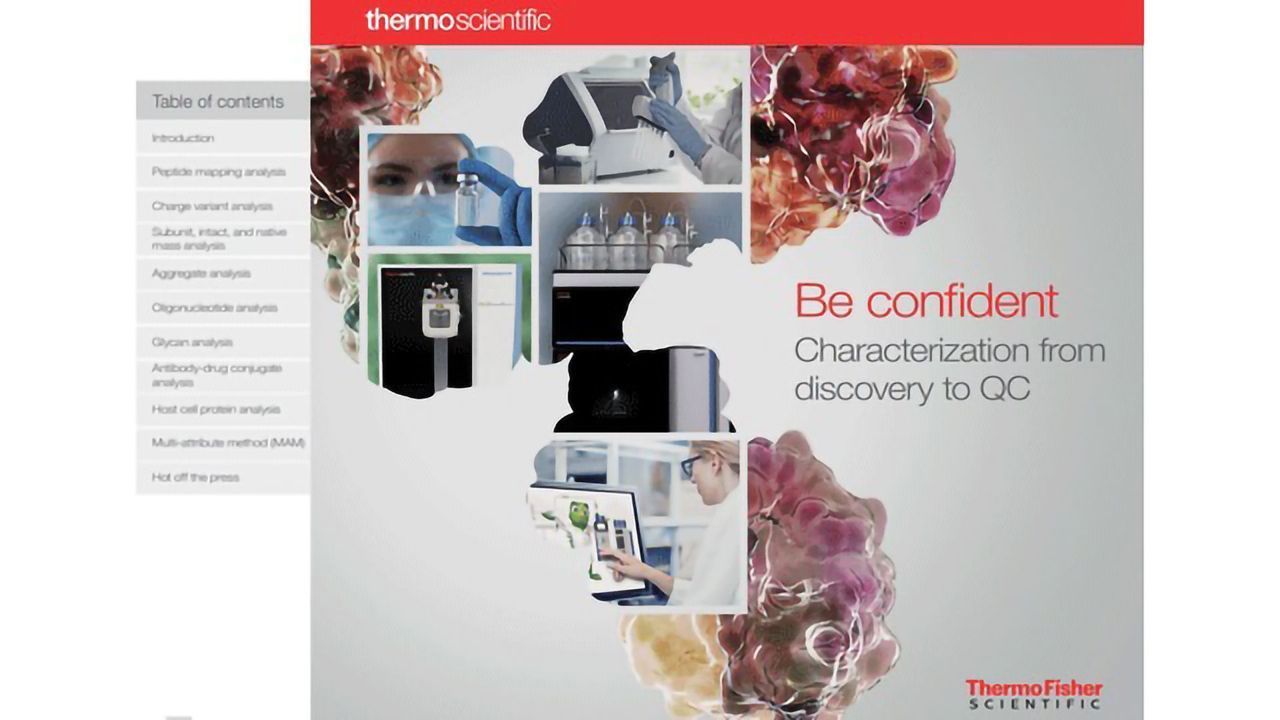 Biological Characterization and Purification - From Discovery to Quality Control