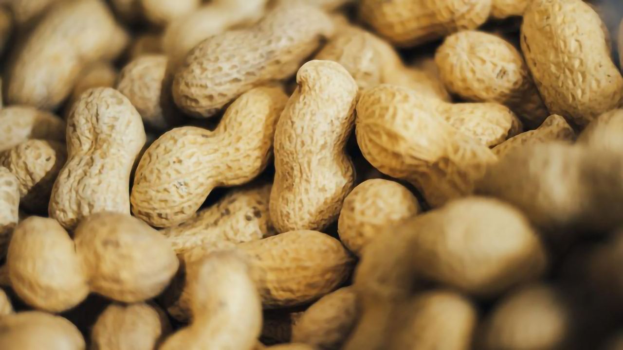 Peanut Allergy Treatment Shown To Significantly Reduce Risk of Life-Threatening Reactions