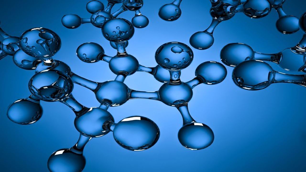 Signed, Sealed and Delivered: How Proteins Find Their Place in a Cell