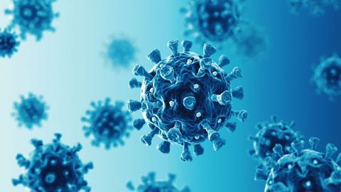 New Drug Rapidly Blocks SARS-CoV-2 Transmission in Animal Model
