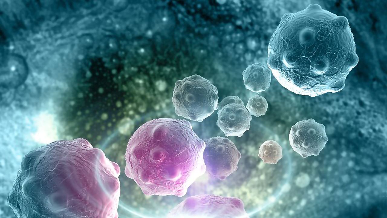 Team Identifies Potential Drug Combo To Treat a Type of Eye Cancer