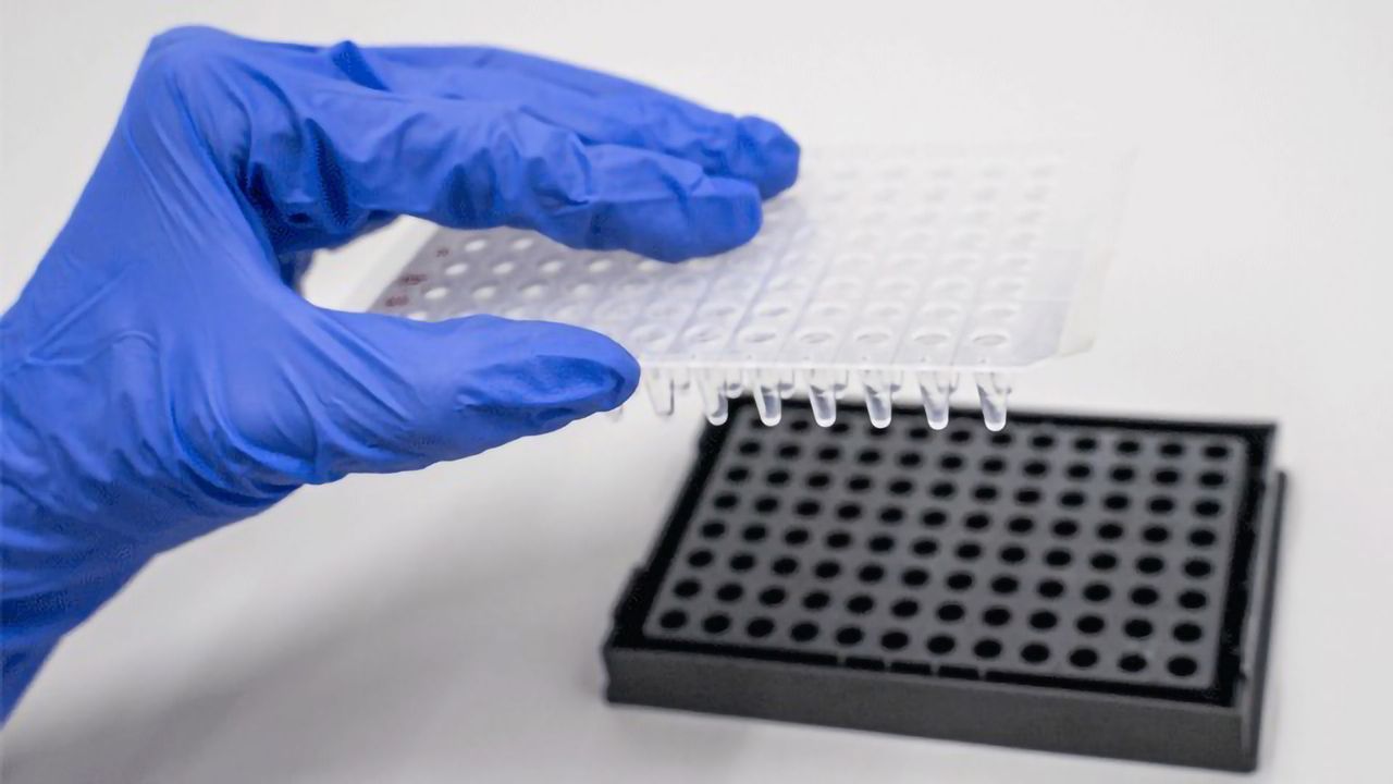 16 Ways To Ensure Consistency in Your PCR Experiments