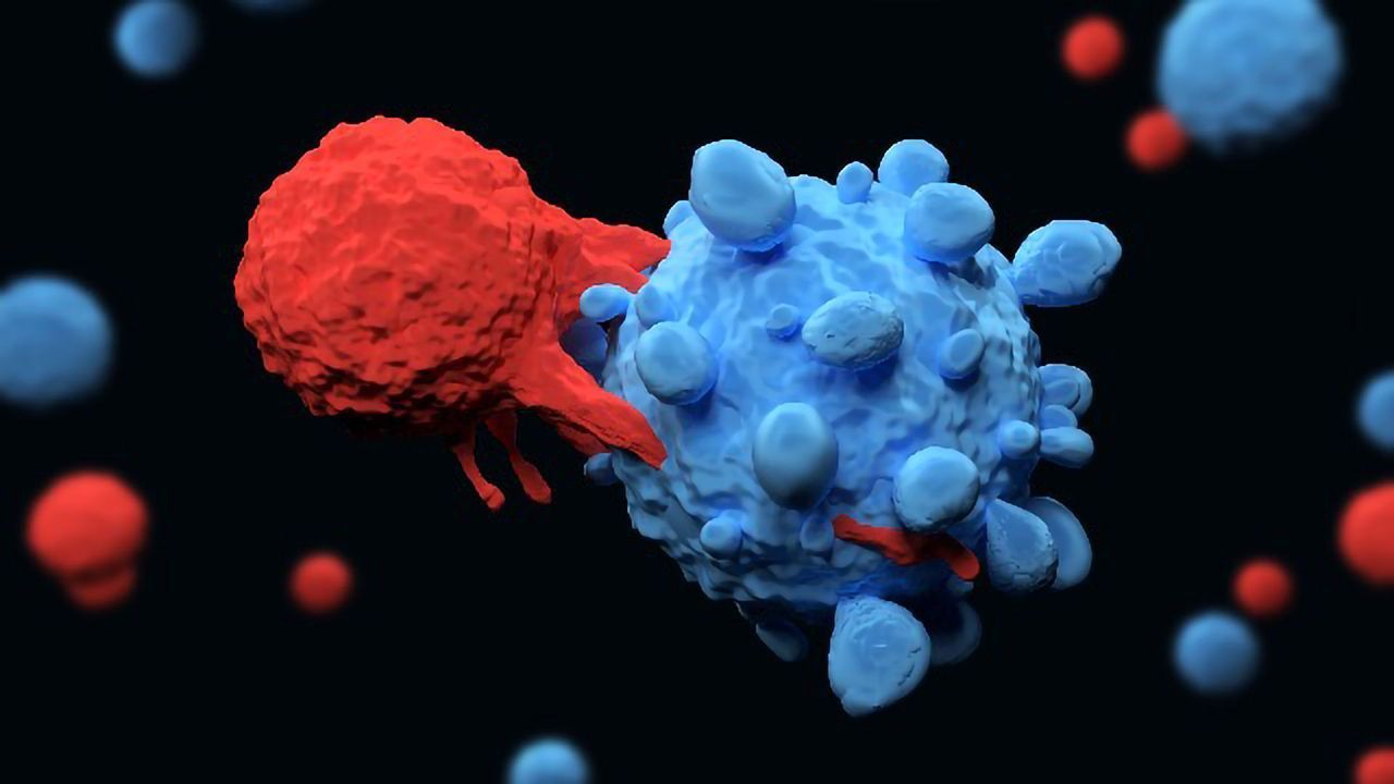 CAR T-Cell Therapy Is Highly Effective in Trial Participants With Non-Hodgkin Lymphoma