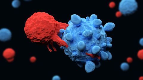 CAR T-Cell Therapy Is Highly Effective in Trial Participants With Non-Hodgkin Lymphoma