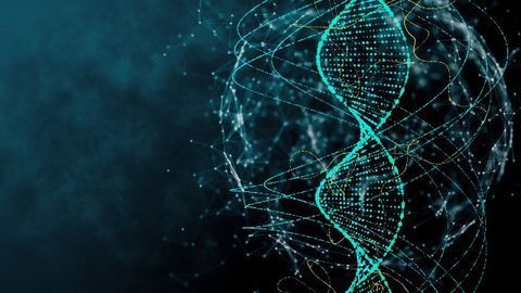 An “Off Switch” During Cell Cycle Phase May Solve CRISPR’s Unwanted Edits Problem