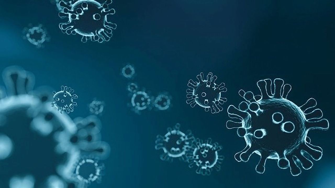 Immune System's Requirements for Protection Against SARS-CoV-2 Defined