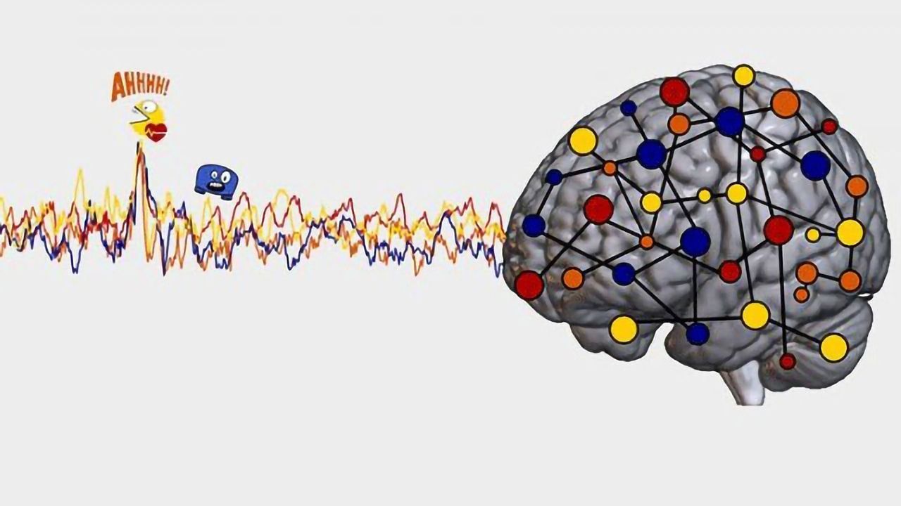 Video Game Helps Understand the Origin of Emotion