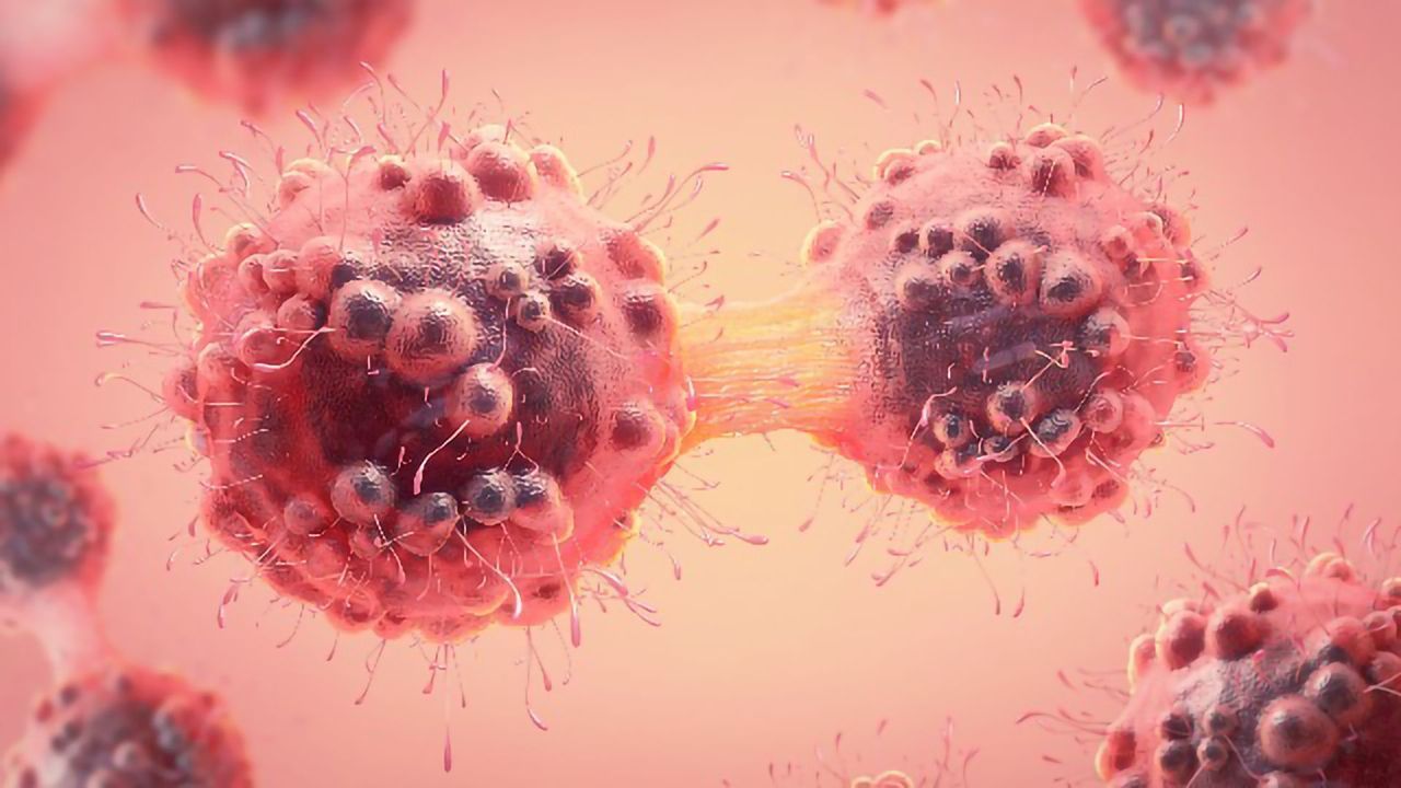 Targeting Senescent Cells To Improve Cervical Cancer Survival