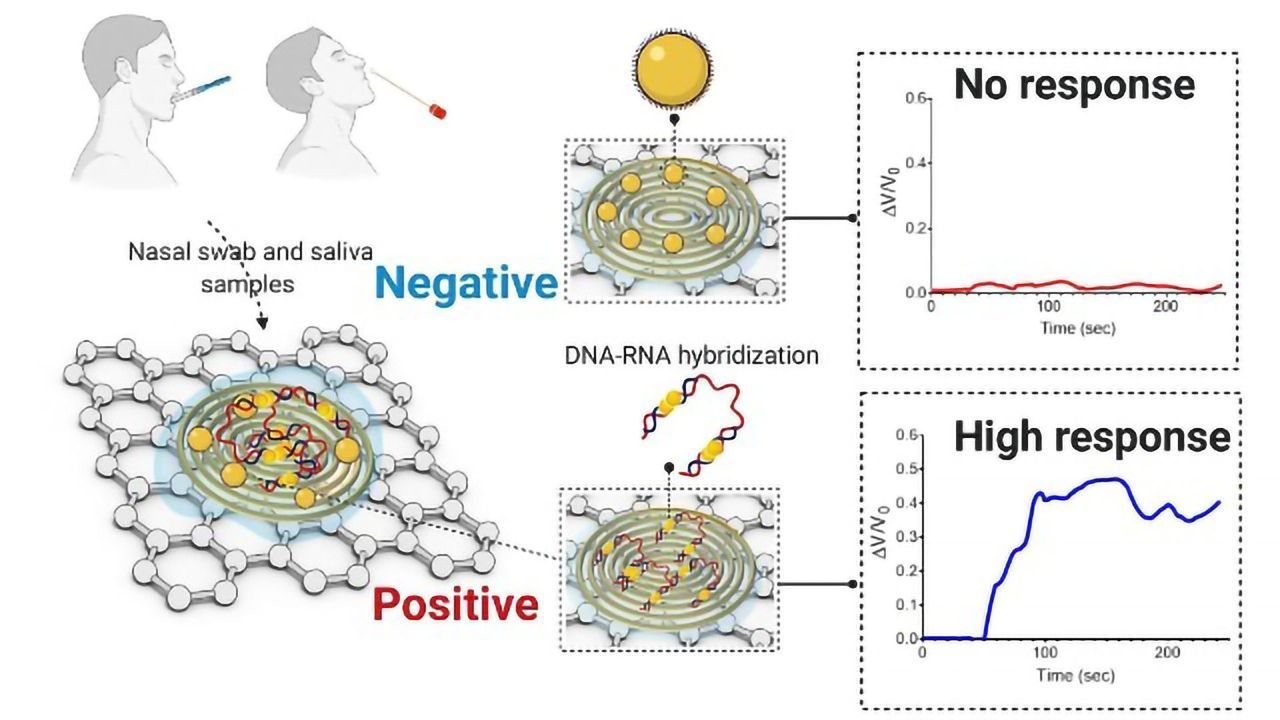 Paper-Based Platform Can Detect COVID-19 in Under Five Minutes