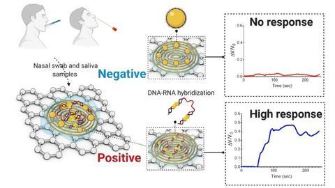 Paper-Based Platform Can Detect COVID-19 in Under Five Minutes