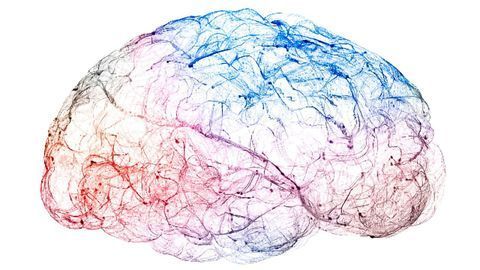 How Our Brain Separates Fact From Possibility