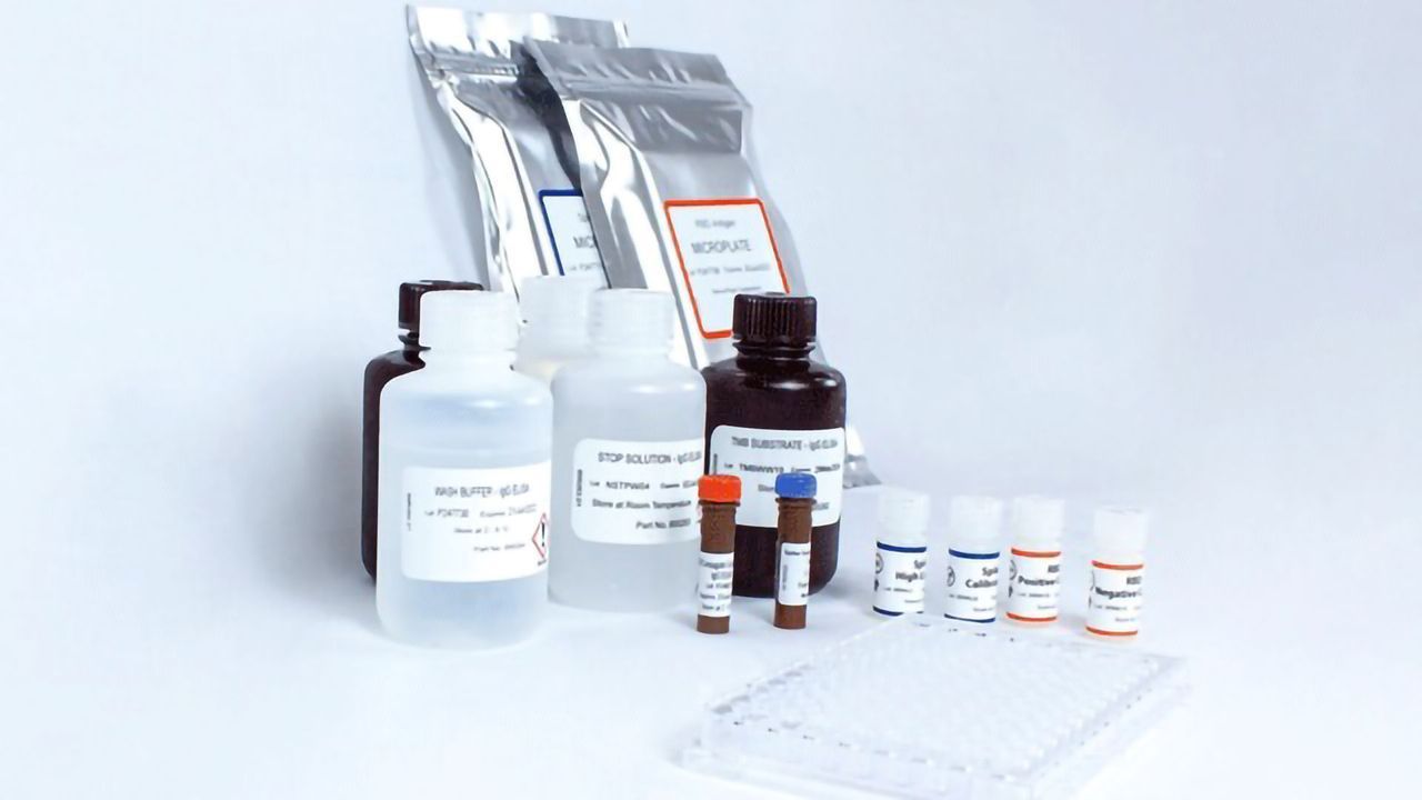EKF Introduces Accurate Quantitative COVID-19 Antibody Test Kit