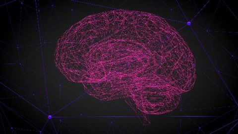BioMed X Institute Completes First Research Project in Neuroscience