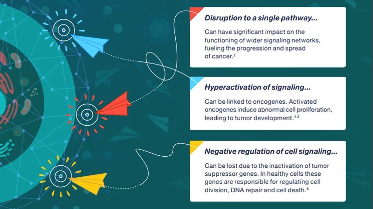 Cell Signaling in Cancer