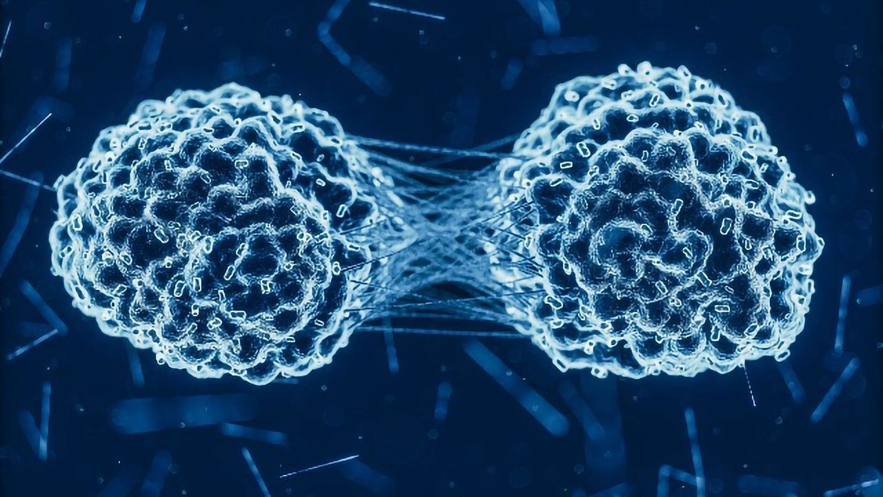 Treatment Combo Significantly Reduces Tumor Growth in Mice