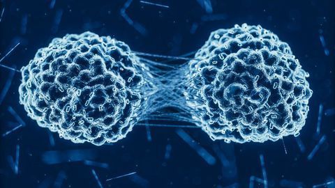 Treatment Combo Significantly Reduces Tumor Growth in Mice