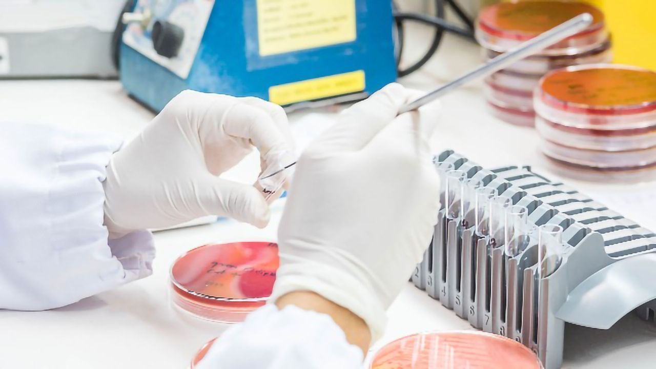 Bacterial Infection Can Mimic Mental Illness