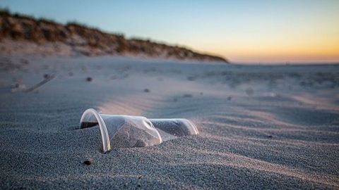 Understanding of Plastic Pollution Could Be Improved by New Method To Label and Track Nano-Particles