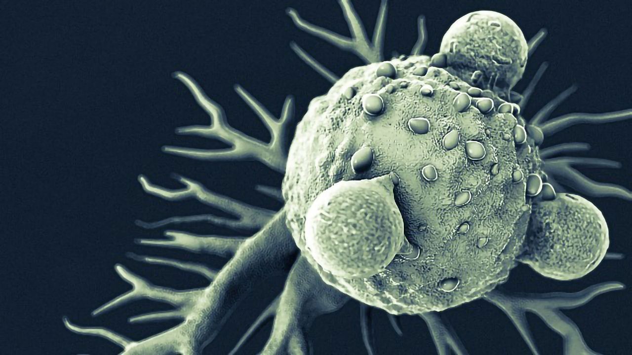Set of Genes May Be Regulated by Melatonin in Some Types of Tumor