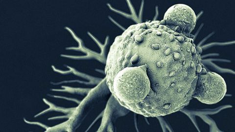 Set of Genes May Be Regulated by Melatonin in Some Types of Tumor
