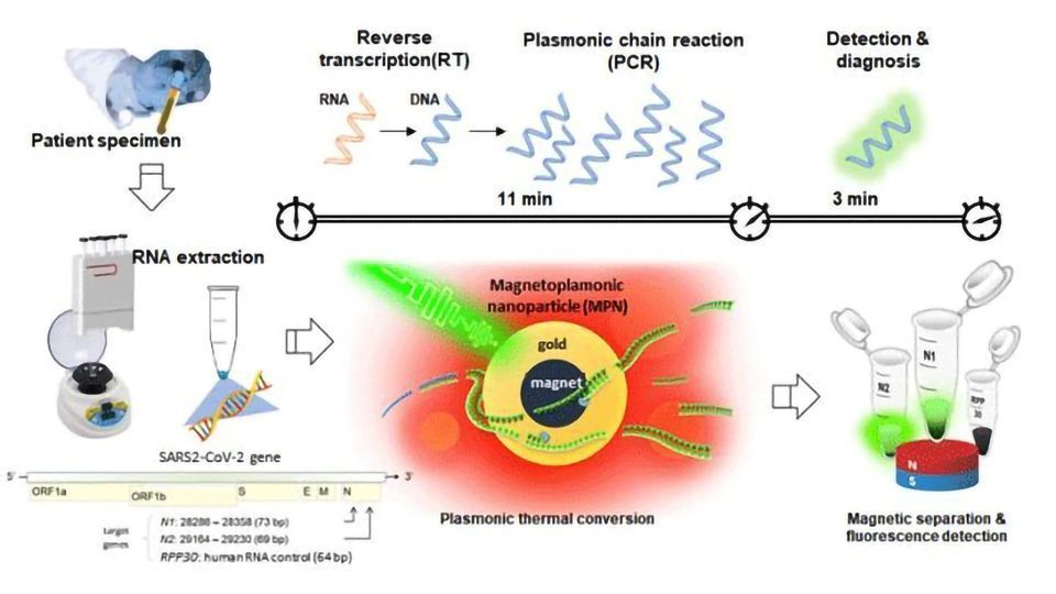 High-Speed NanoPCR Technology Developed for Point-of-Care Diagnosis of COVID-19 content piece image