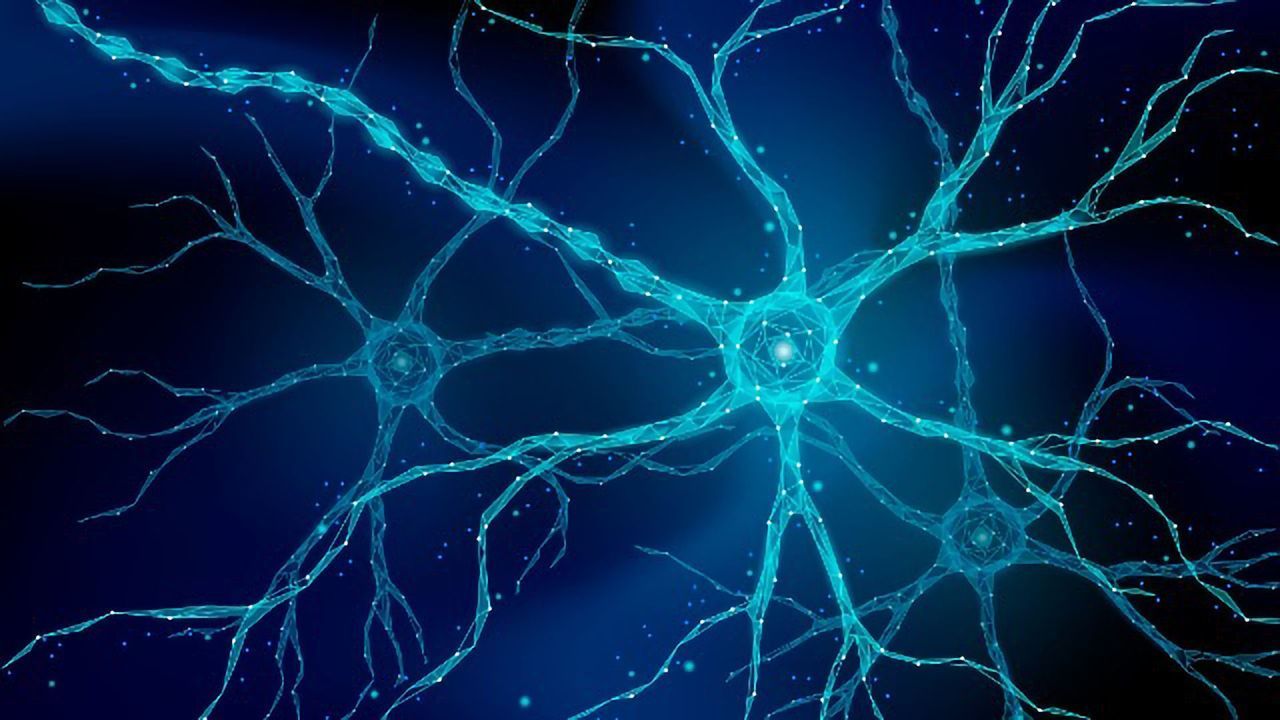 Neural Network Models Predict Epilepsy
