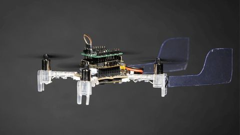 Cyborg Smellicopter Drone Navigates Using a Live Moth Antenna