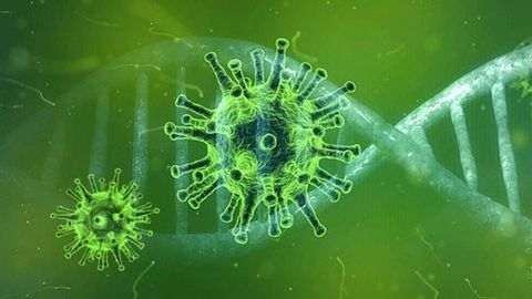 A Rapid Genomics Strategy To Trace Coronavirus