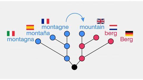 Can Machine Learning Identify Borrowed Words?