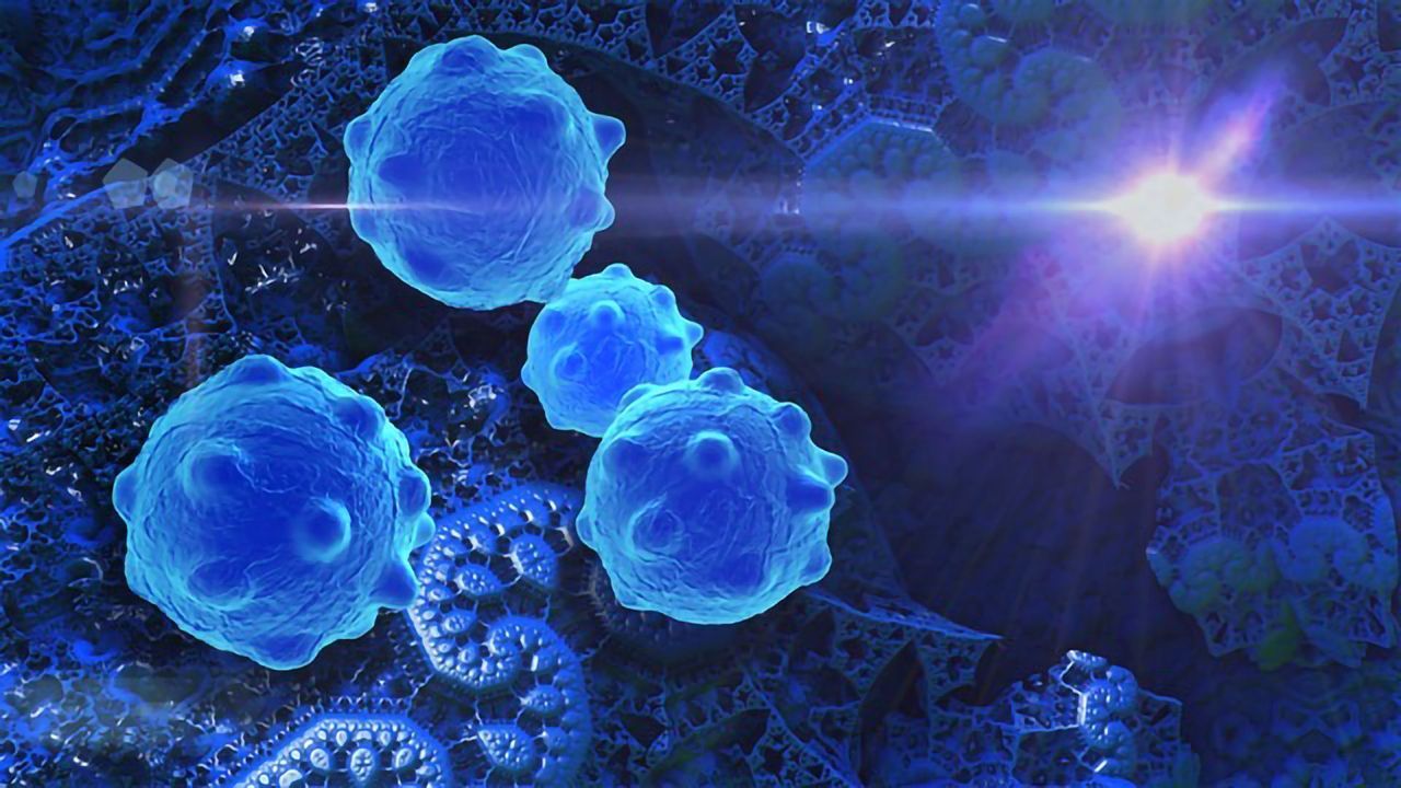 Pursuing Precision Immunotherapy for Cancer: Approaches and Challenges