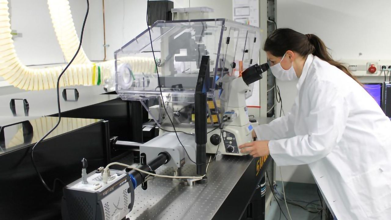 Microplastics More Readily Taken Up by Living Cells in Natural Environment