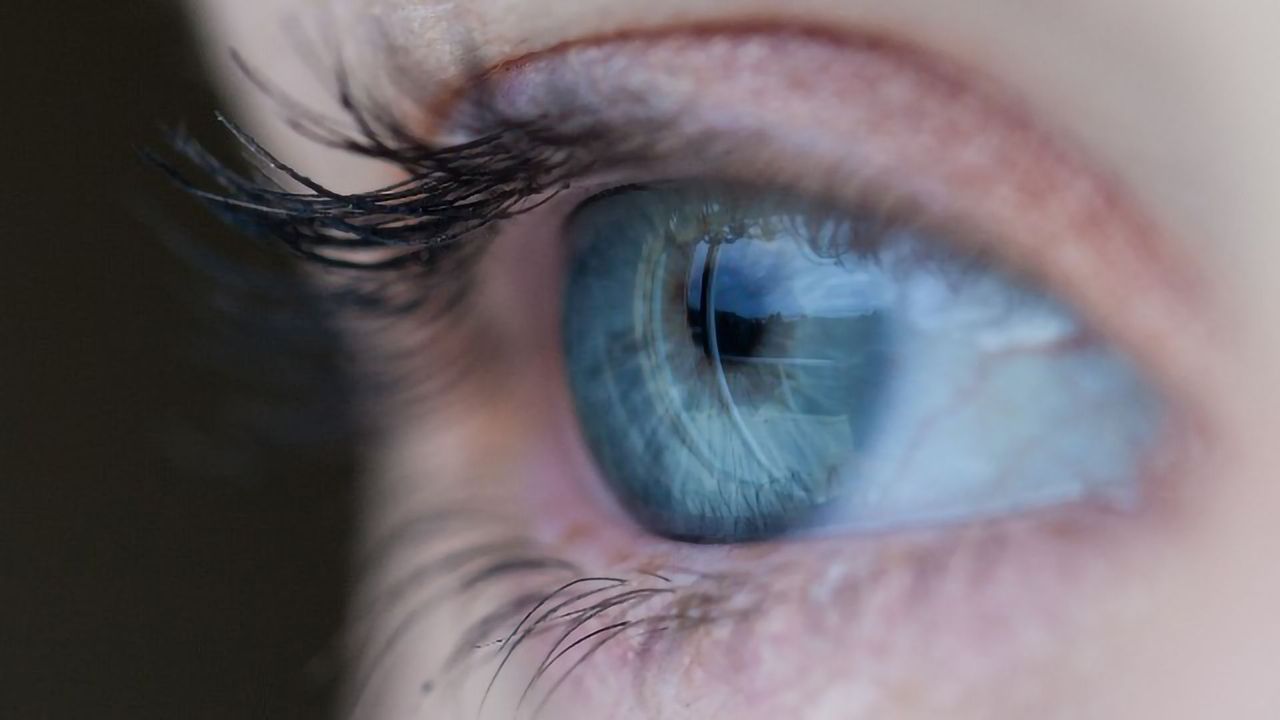 Cell Replacement Therapy – A Promising Treatment for Age-Related Macular Degeneration