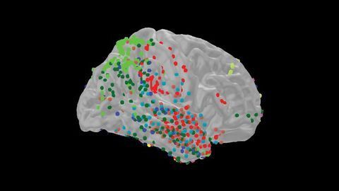 High-Frequency Brain Waves Help Us Spot Small Differences