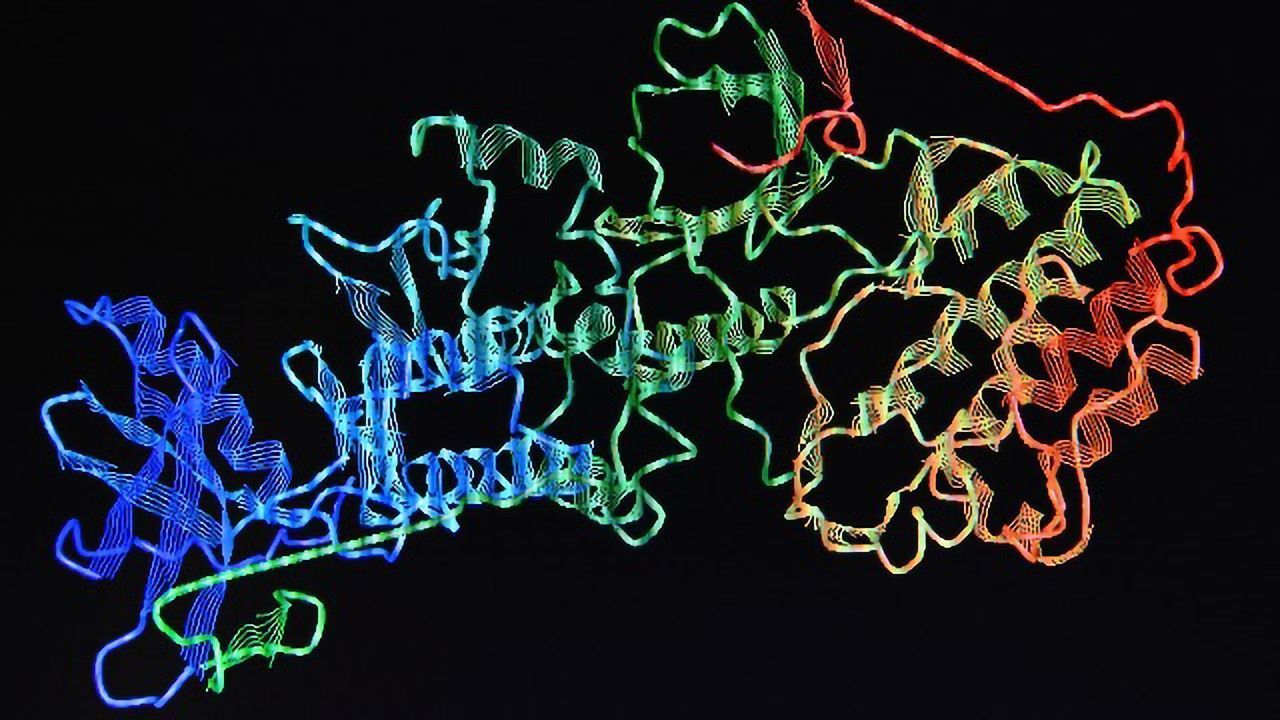 Why “Lab-Made” Proteins Have Unusually High Temperature Stability
