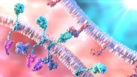 Drugs Create Balancing Act for Individuals With Non-Small Cell Lung Cancer