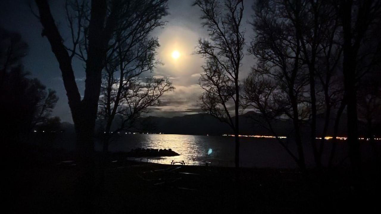 Arctic Methane Release Controlled by the Moon