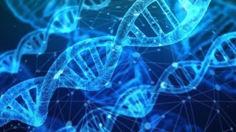 Using More Genomic Data Increases Accuracy of Breast Cancer Risk Assessment