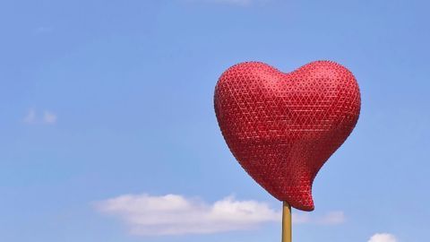 Network of Genes Involved in Congenital Heart Disease Identified