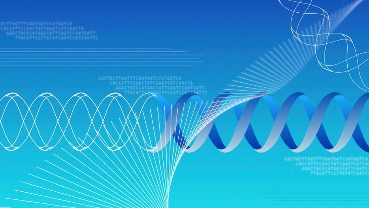 How Decision-Making Genes Govern Cells