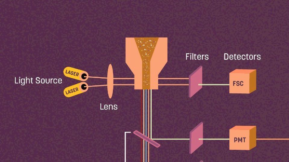 Diagram of showing the main flow cytometry components.