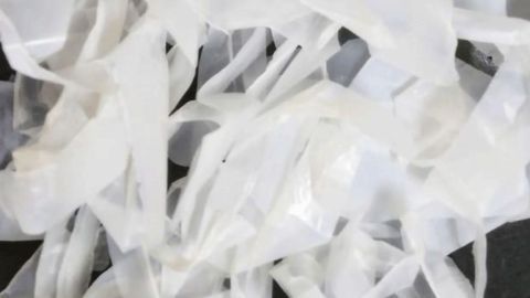 Plastic Alternatives Made From Industrial Waste