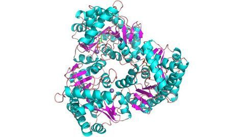 First Enzyme-Driven Synthesis of Nucleic Acid Building Blocks