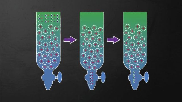 Liquid chromatography column diagram, showing the movement of particles through resin. 